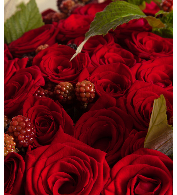 Bouquet-solo roses Grand Prix (15,25,35,51,75 or 101) – photo #2