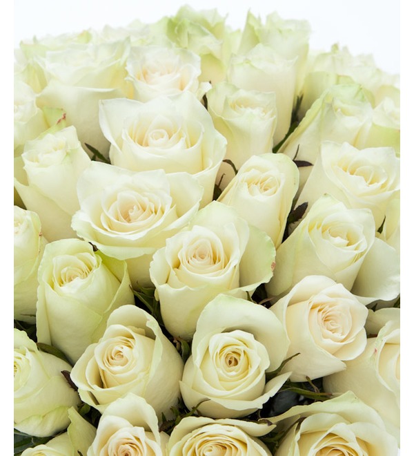 Букет из 51 белой розы (50см) Светлое чувство BR154 SAN – фото № 4