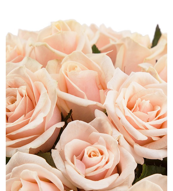 Букет из кремовой розы Гармония в любви (25, 51 или 101) BR102 MOS – фото № 4