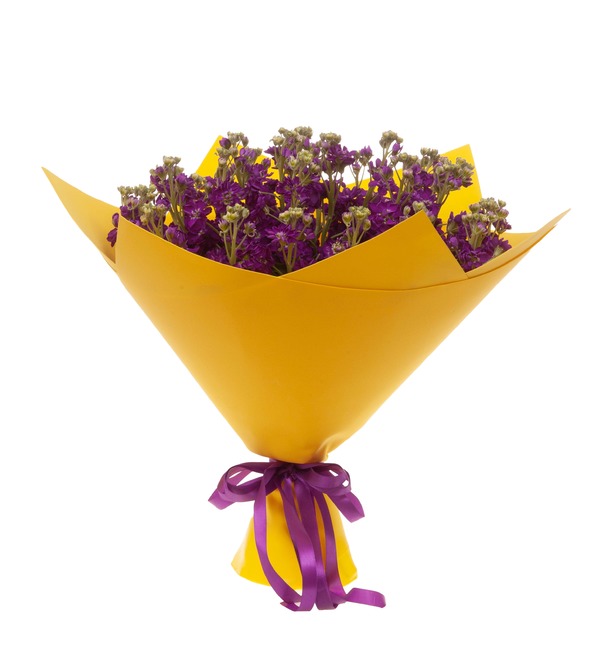 Bouquet-solo of purple matthiola (9,15,25,35,51 or 75) – photo #4