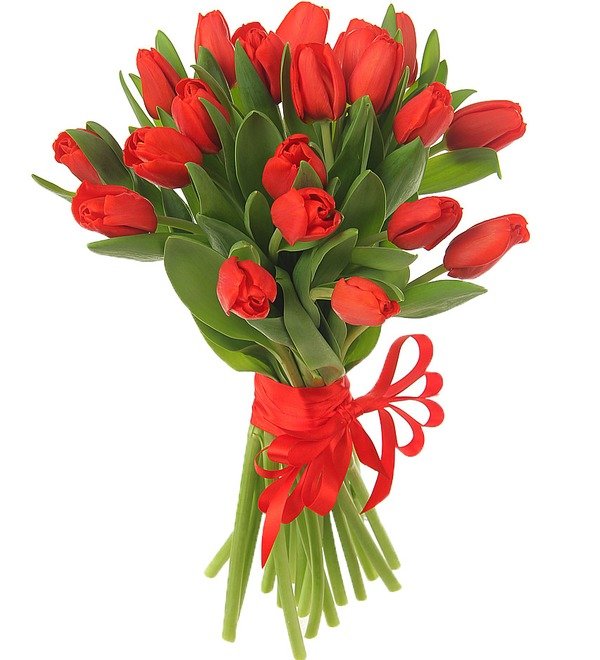 Букет из 21 красного тюльпана ABN1104 BRA – фото № 1