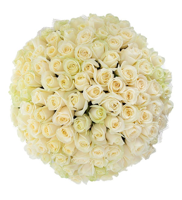 Букет из 101 белой розы Белое солнце BR202 BUL – фото № 4