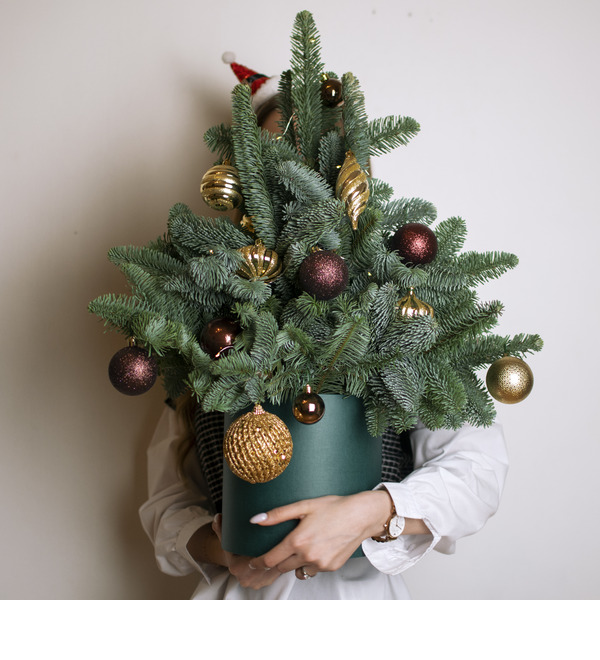 Ёлка Шоко LFL724 SAN – фото № 2