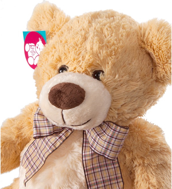 Soft toy Teddy bear Marvin (55 cm) – photo #2