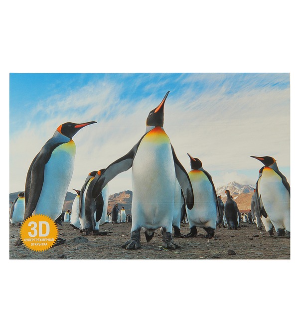 Postcard 3D Penguin – photo #1