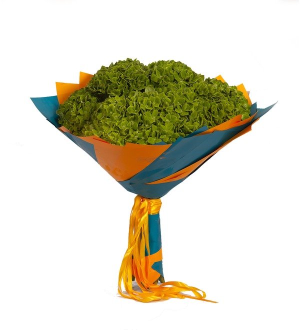 Bouquet-solo Green hydrangeas (5,7,9 or 15) – photo #4