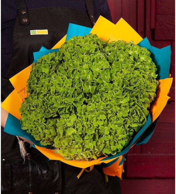 Bouquet-solo Green hydrangeas (5,7,9 or 15) – photo #1
