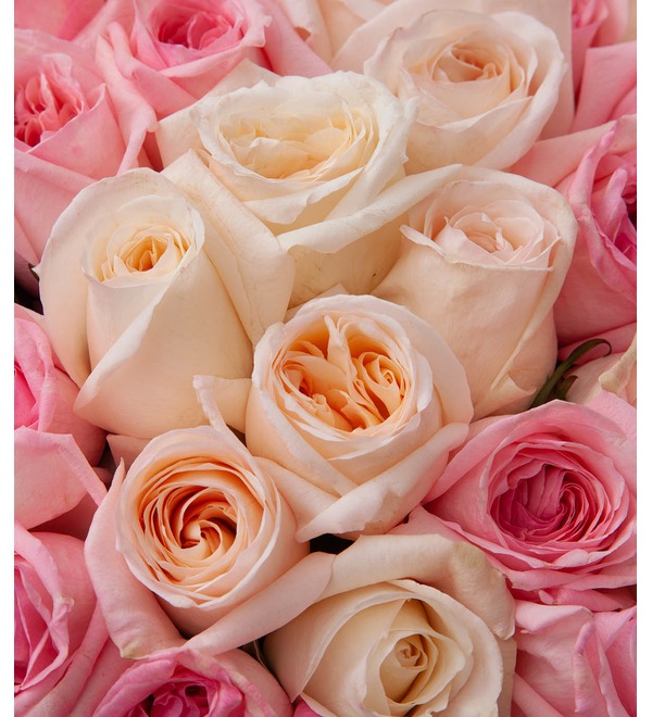 Букет-дуэт ароматных роз O Hara (15,25,35,51,75 или 101) – фото № 3