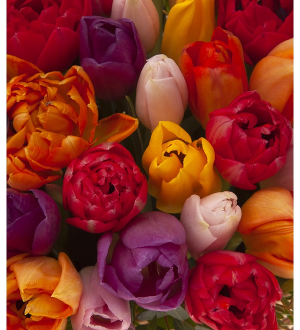 Композиция Весенние тюльпаны (51,101,151 или 201) – фото № 2