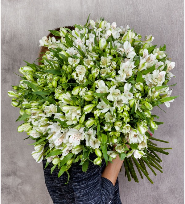 Bouquet-solo White Alstroemeria (25,51 or 101) MN207 GER – photo #1