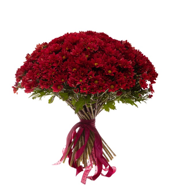 Bouquet-solo of red chrysanthemums (15,25,51,75 or 101) – photo #3