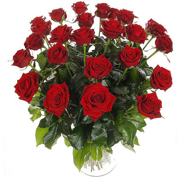 Букет из 25 красных роз Страстный ангел RU R25R LOD – фото № 3