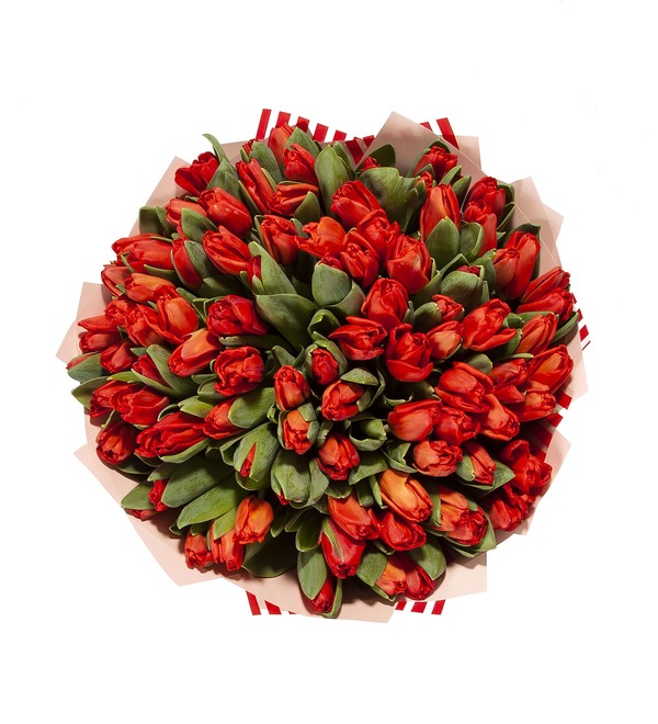 Букет-соло красных тюльпанов (25,35,51,75 или 101) – фото № 4