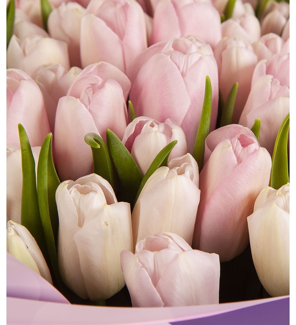 Букет-соло Розовые тюльпаны (25,51,75 или 101) – фото № 2