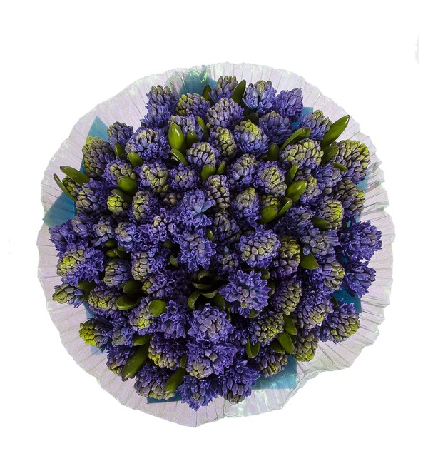 Bouquet-solo Blue hyacinths (15,25,51 or 75) – photo #4