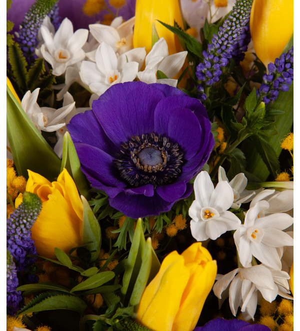 Bouquet-orchestra March Surprise – photo #2