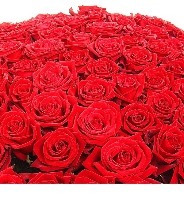 Букет из 101 красной розы Песня о счастье BR110 SAI – фото № 5