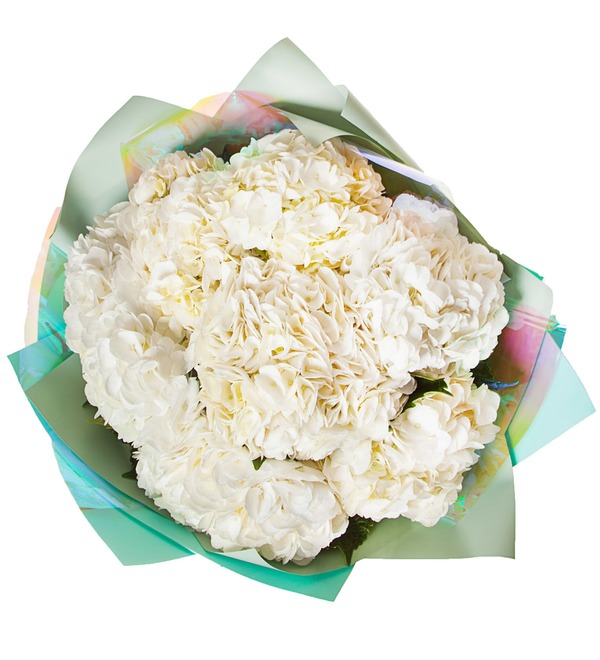 Bouquet of white hydrangea (5, 7 or 9) – photo #3