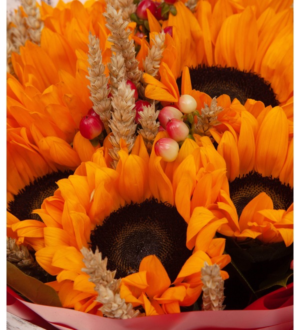 Bouquet-solo Sunflowers (5,7,9,15,25,35 or 51) – photo #3