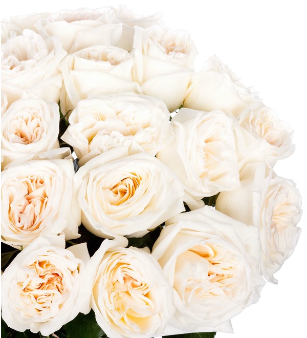 Букет пионовидных роз White OHara (9,15,25,35,51 или 75) – фото № 3
