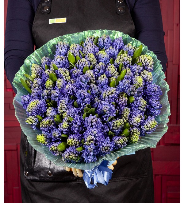 Bouquet-solo Blue hyacinths (15,25,51 or 75) – photo #1