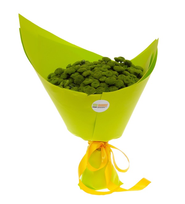 Букет-соло зелёных хризантем (15,25,35,51,75 или 101) – фото № 4