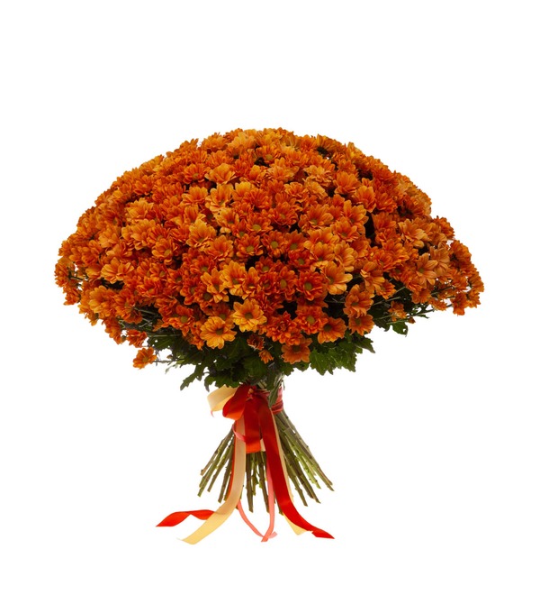 Bouquet-solo of orange chrysanthemums (15,25,51,75 or 101) – photo #4