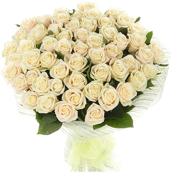 Букет из 51 кремовой розы Гармония в любви AT BR102 VIL – фото № 1