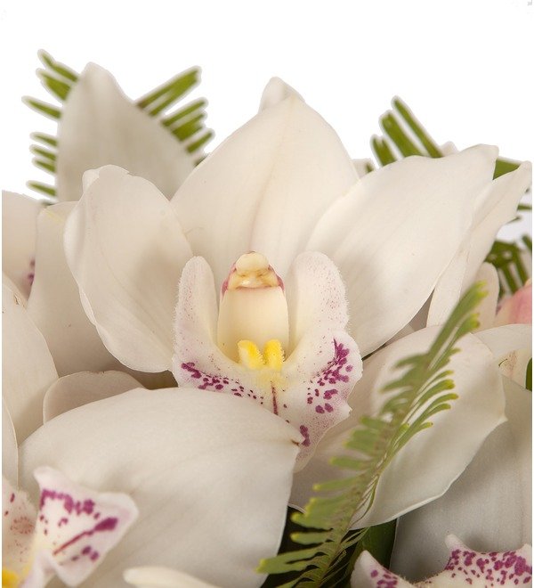 Букет-соло Белые орхидеи (15,25,35,51,75,101 или 151) – фото № 2