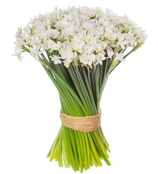 Bouquet of white bush daffodils (25, 51 or 101) – photo #3