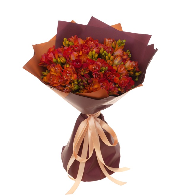 Bouquet-solo of red freesias (25,35,51,75 or 101) – photo #5