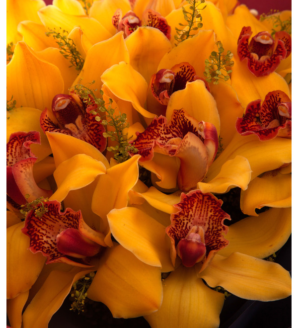 Букет-соло жёлтых орхидей (15,25,35,51,75 или 101) – фото № 2