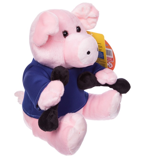 Musical toy Pig Athlete (24 cm) – photo #2