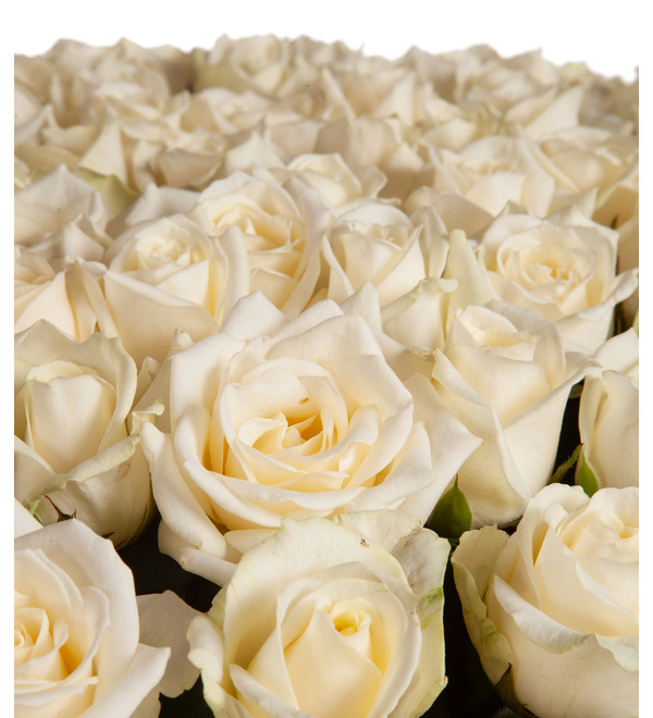 Composition of 301 roses Perfection – photo #3