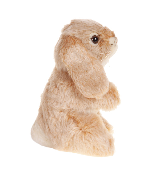 Мягкая игрушка Кролик кремовый (25 см) – фото № 4