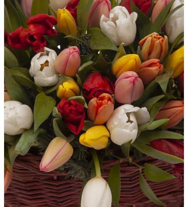 Composition Bright tulips (51,101 or 201) – photo #3