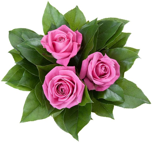 Bouquet of 3 pink roses RBR114 KRE – photo #4