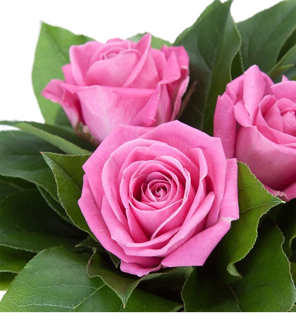 Bouquet of 3 pink roses RBR114 BRO – photo #3