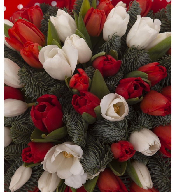 Букет-дуэт тюльпанов Двое влюблённых (15,25,35,51,75 или 101) – фото № 3