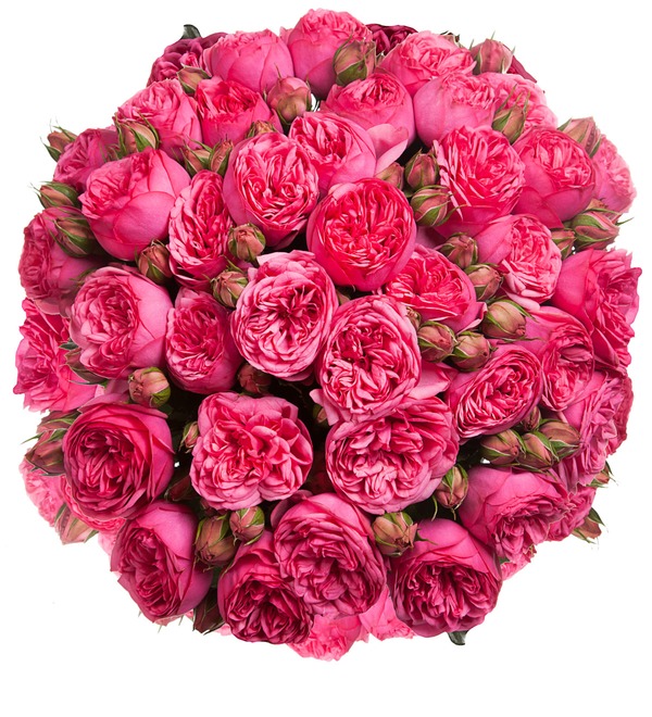 Букет из пионовидных роз Pink Piano (15, 25 или 51) – фото № 5