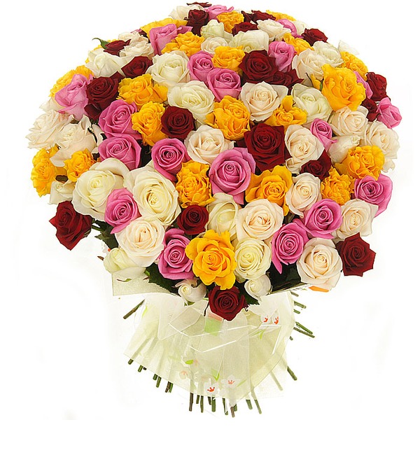 Bouquet of 101 Mixed Rose Primma Donna BG BR104 BUL – photo #2