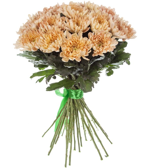Bouquet of single-headed chrysanthemums Aljonka Salmon (21, 35 or 51) – photo #4