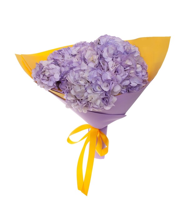 Bouquet-solo of lilac hydrangeas (5,7,9,15,25 or 35) – photo #5