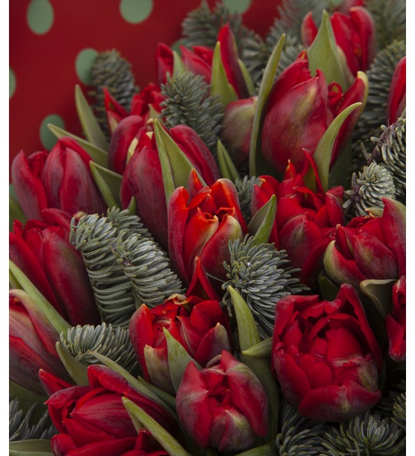 Букет-соло пионовидных тюльпанов Robinho (15,25,35,51,75,101 или 151) – фото № 2