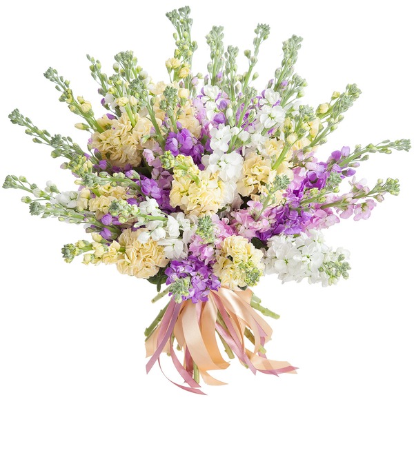 Букет Matthiola MN9 LEI – фото № 1