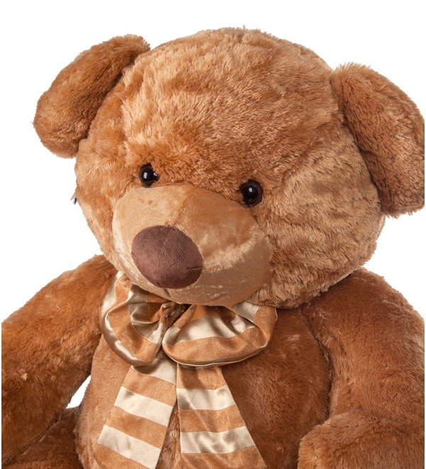 Soft toy Teddy Bear Carnelius (105 cm) – photo #2
