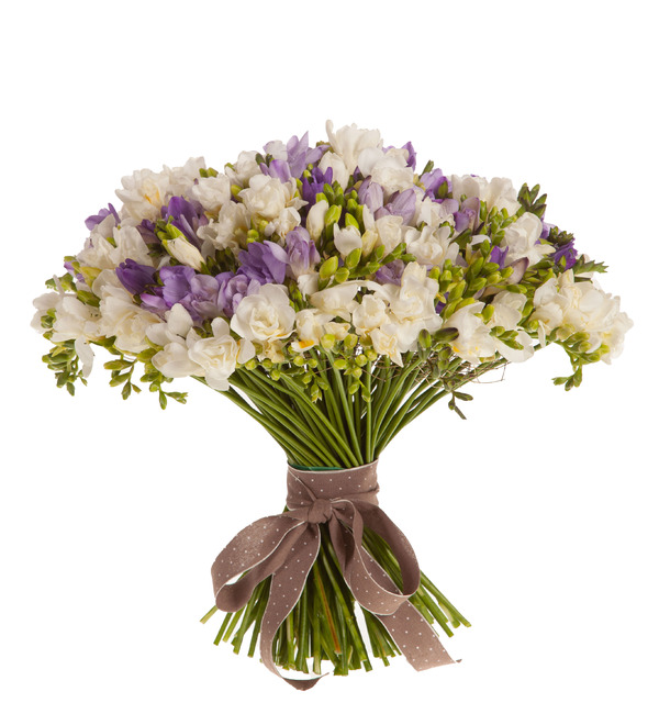 Bouquet-duet Tender freesias (25,35,51,75 or 101) – photo #4