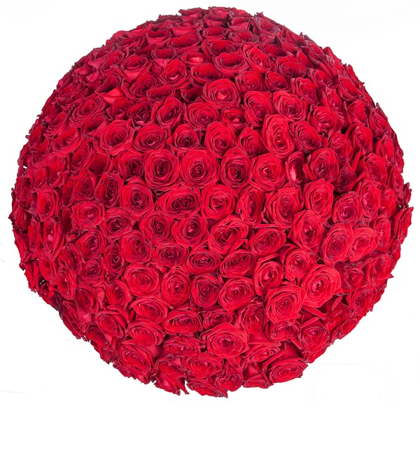 Букет из 201 красной розы Ты - мой мир! FV47 NOV – фото № 5