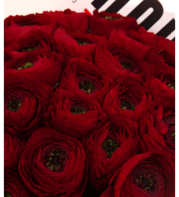 Bouquet-solo red ranunculus (15,25,35,51,75 or 101) – photo #3