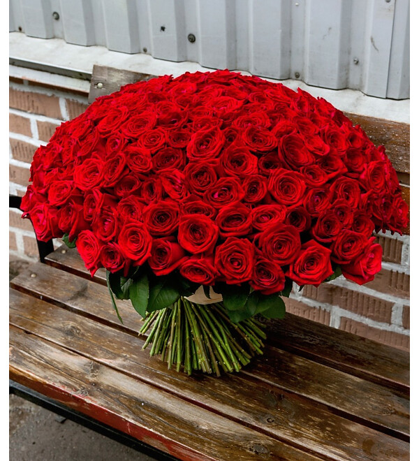 Bouquet of 201 red roses You are my world! – photo #2